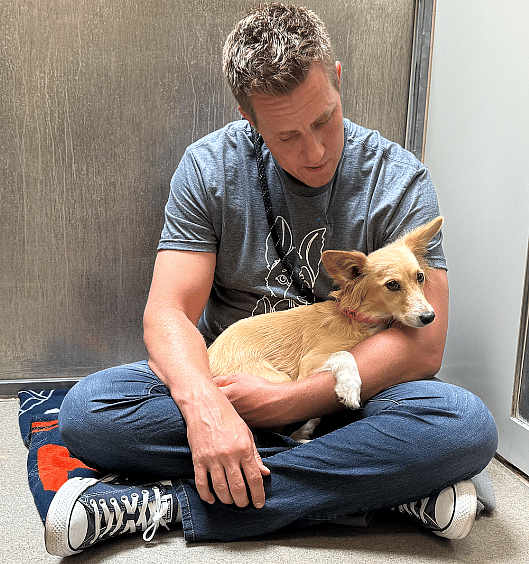 Piper for Adoption (Empty the Shelters 2024)